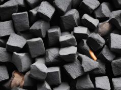 Charcoal vs. Wood Which is Best for Your BBQ