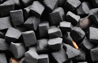 Charcoal vs. Wood Which is Best for Your BBQ