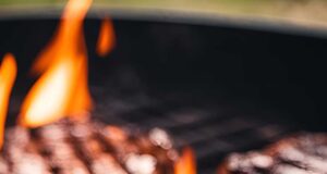 How to Sear Meat on a BBQ Tips for Achieving the Perfect Crust