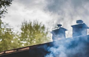 Low and Slow Mastering the Art of BBQ Smoking