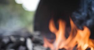 Lump Charcoal vs. Briquettes Which Should You Use for BBQ