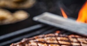 The Science of Searing Understanding the Maillard Reaction