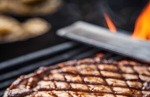 The Science of Searing Understanding the Maillard Reaction