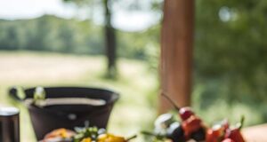 Top 5 Tools for Accurate BBQ Temperature Control