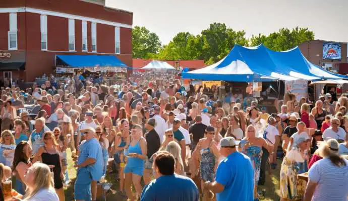 blues_brews_bbq_festival_downtown_farmington 2