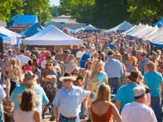 blues_brews_bbq_festival_downtown_farmington