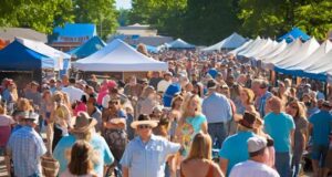 blues_brews_bbq_festival_downtown_farmington