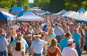 blues_brews_bbq_festival_downtown_farmington