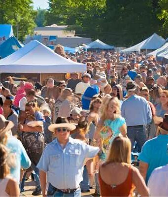 blues_brews_bbq_festival_downtown_farmington