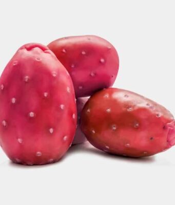 prickly pears